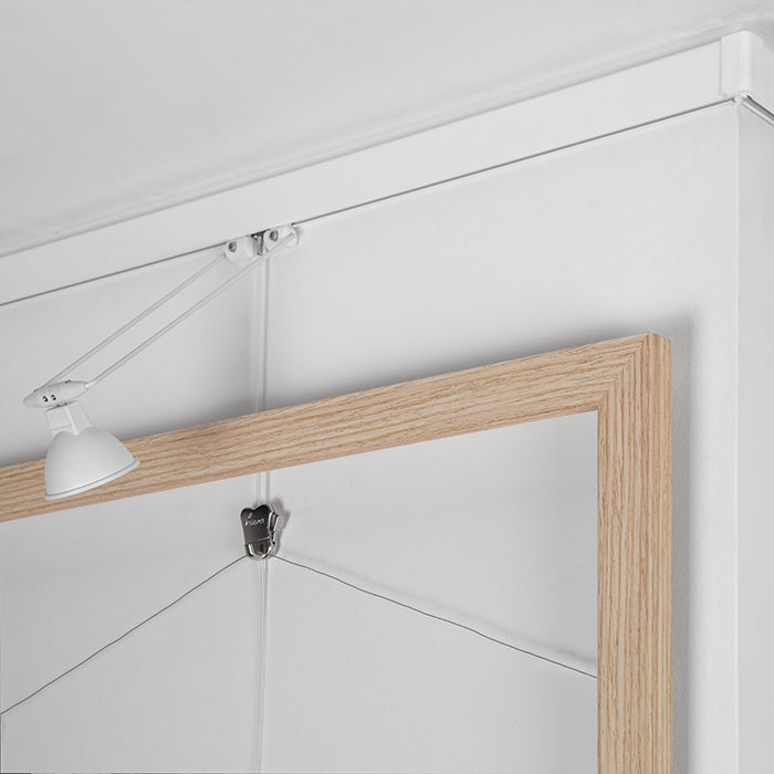 Buy STAS multirail: versatile picture hanging system for art display with lighting.